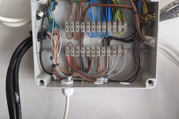 PXL_20230803_122506378 PXL_20230803_122506378