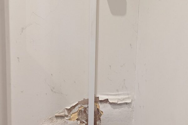 PXL_20231130_150410977 PXL_20231130_150410977